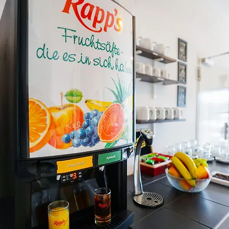 Am Schloss Biebrich فندق