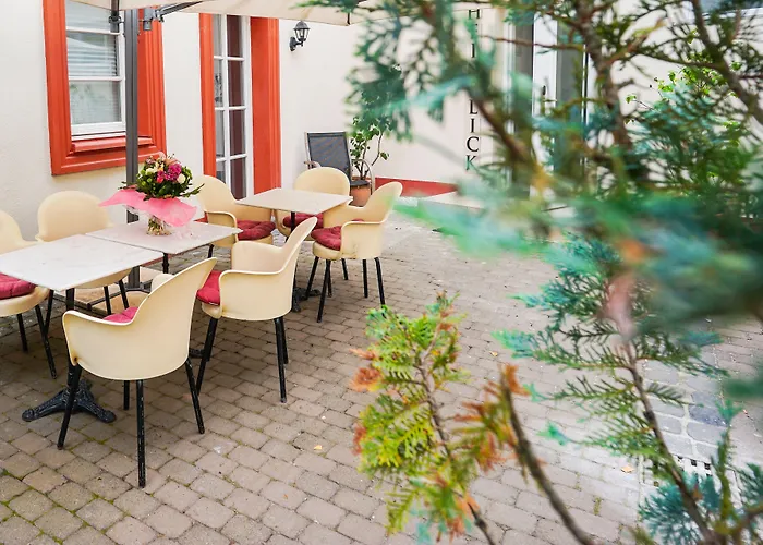 ホテル アム シュロス ビーブリッヒ 3*