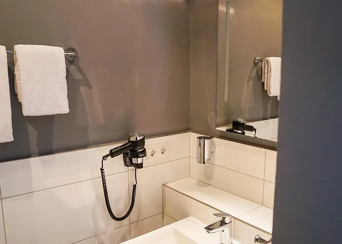 ホテル アム シュロス ビーブリッヒ 3*